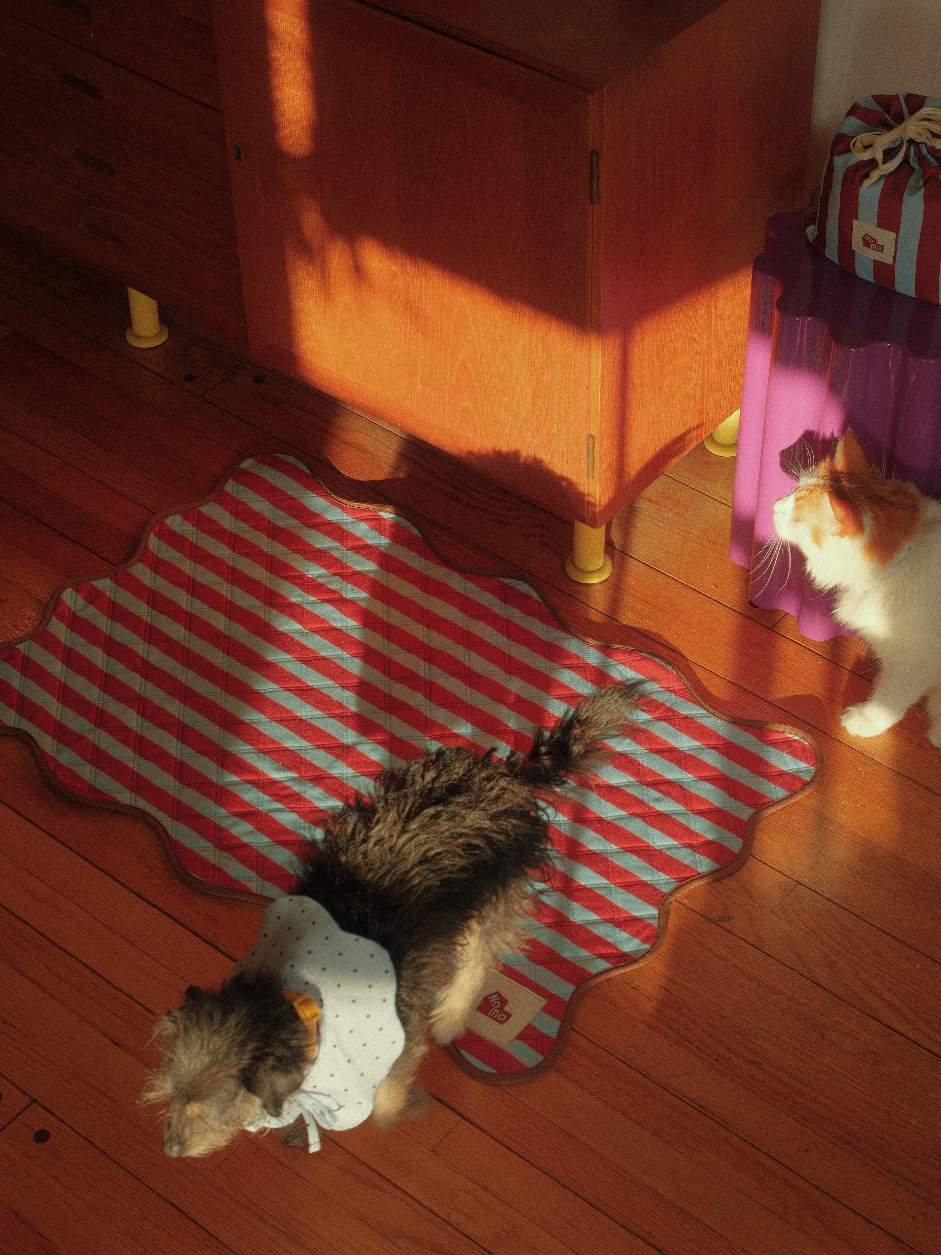 Are Reusable Dog Pee Pads Worth It? Our Honest Take - NomoHaus