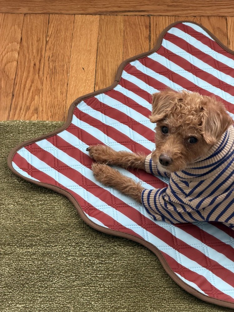 How to Potty Train a Puppy: A Week-by-Week Schedule - NomoHaus