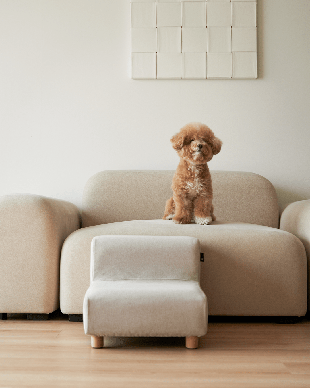 How to Set Up Your Home for a Dog Without It Feeling Like a Pet Zone - NomoHaus