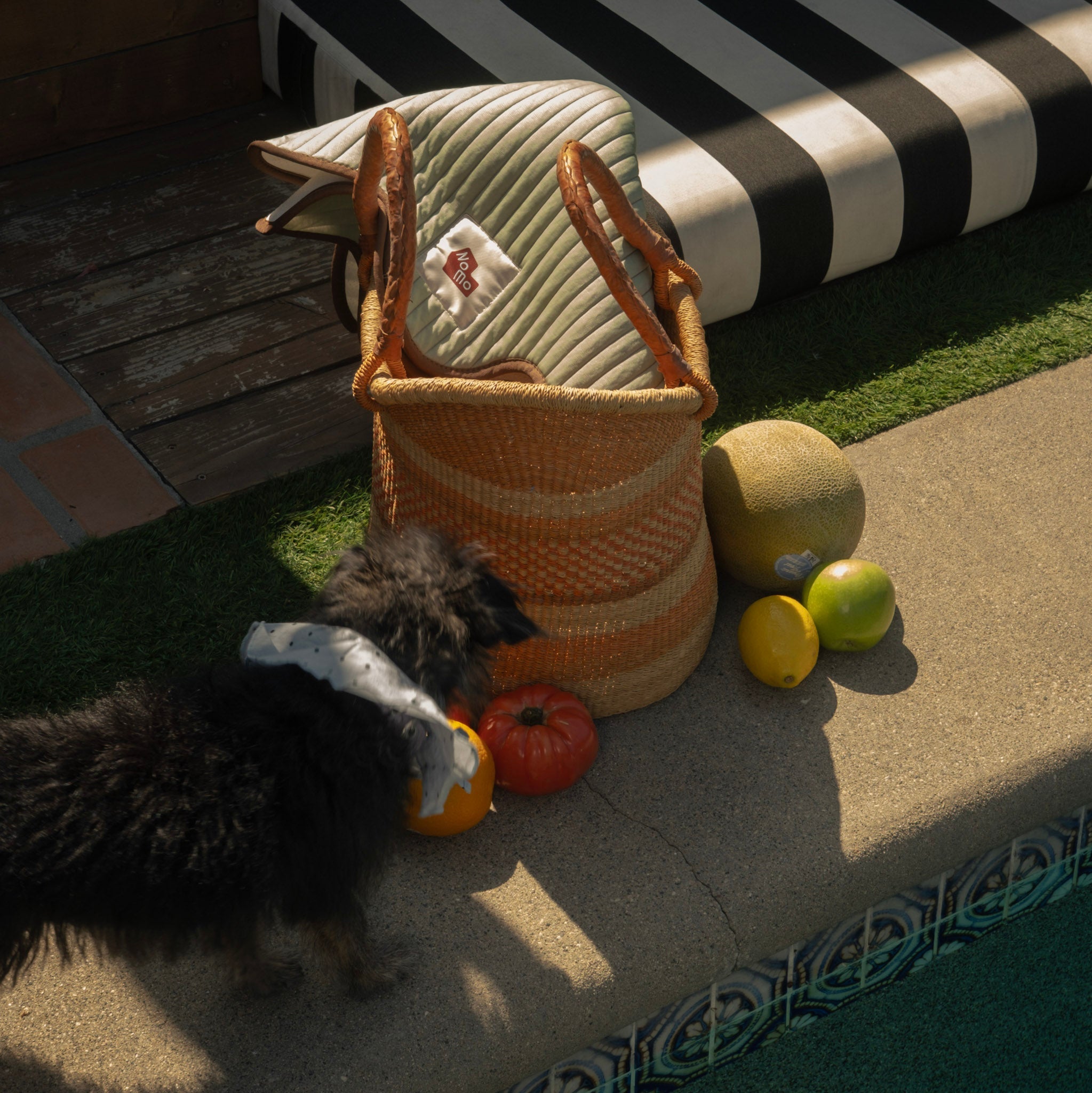 The Charlie Cooling Mat - NomoHaus
