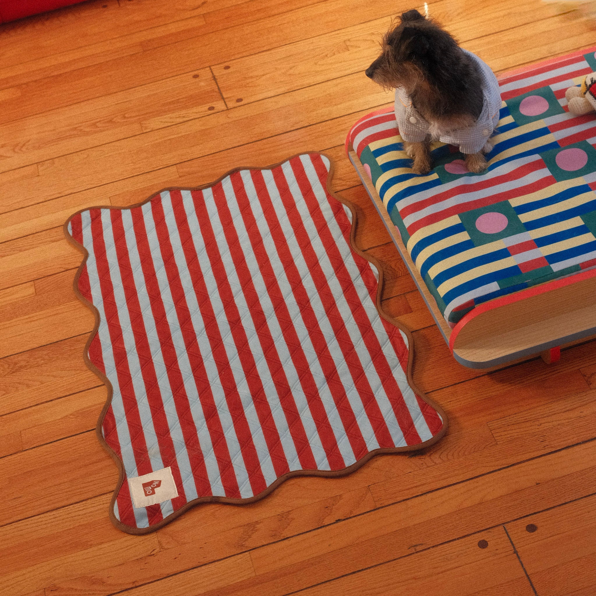 The Ellie Pad – Reusable Washable Dog Pee Pad - NomoHaus