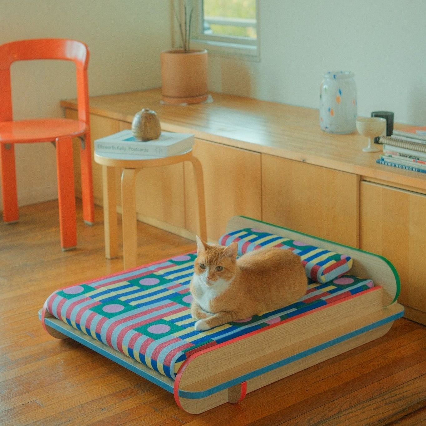 The Leo Bed – Modern Elevated Dog & Cat Bed - NomoHaus