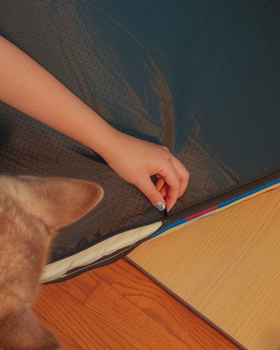 The Leo Bed – Modern Elevated Dog & Cat Bed - NomoHaus