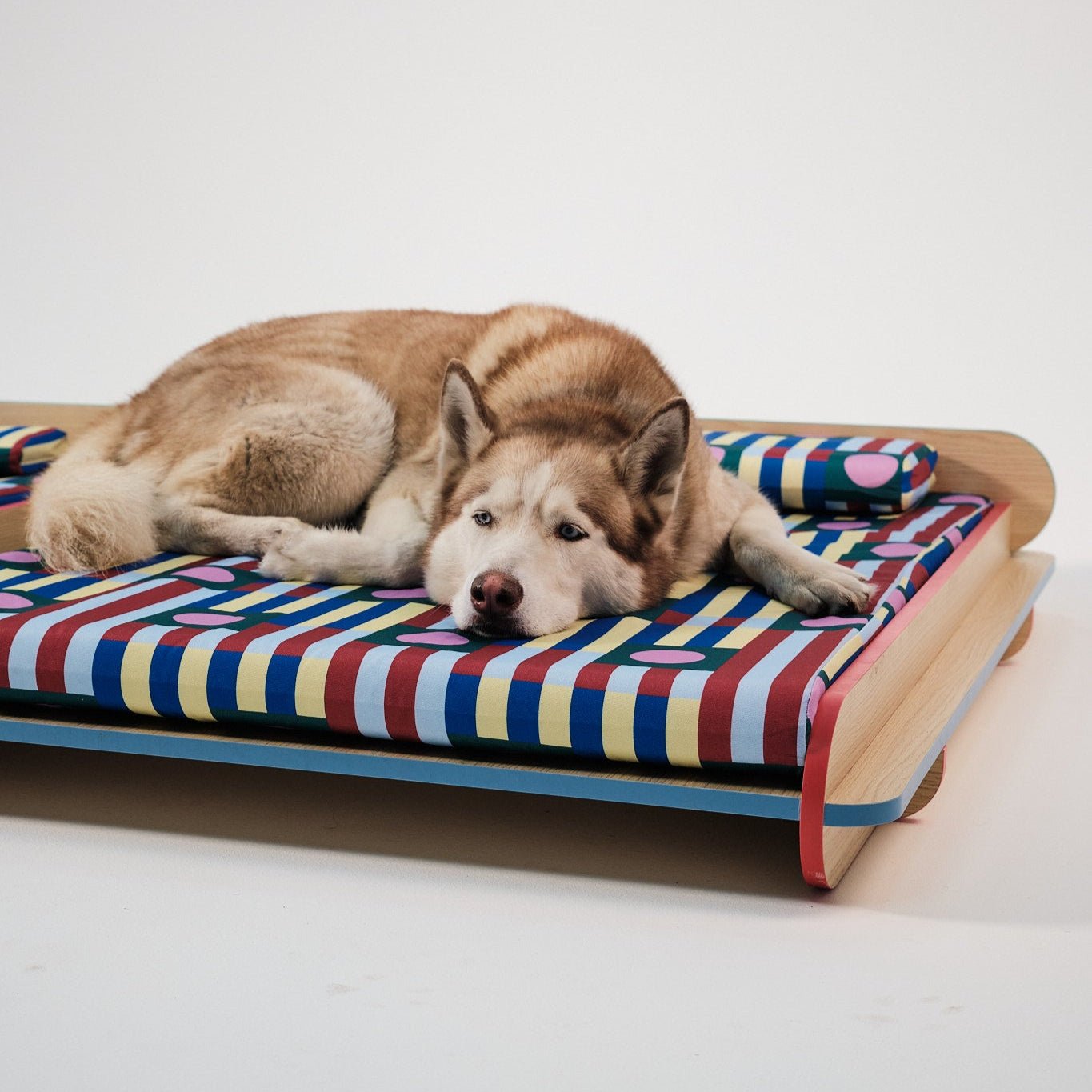 The Leo Bed – Modern Elevated Dog & Cat Bed - NomoHaus