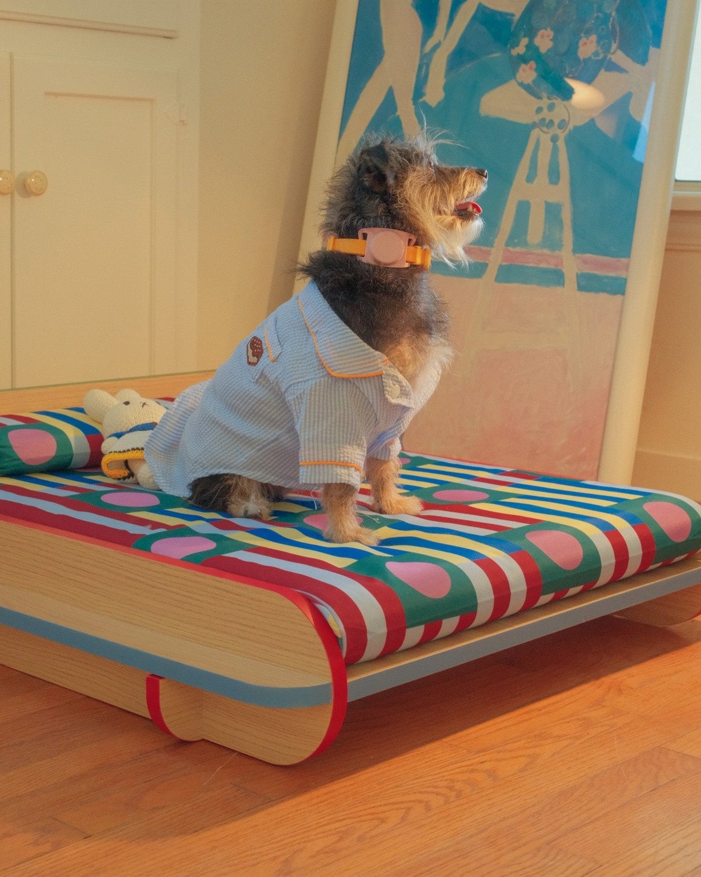 The Leo Bed – Modern Elevated Dog & Cat Bed - NomoHaus