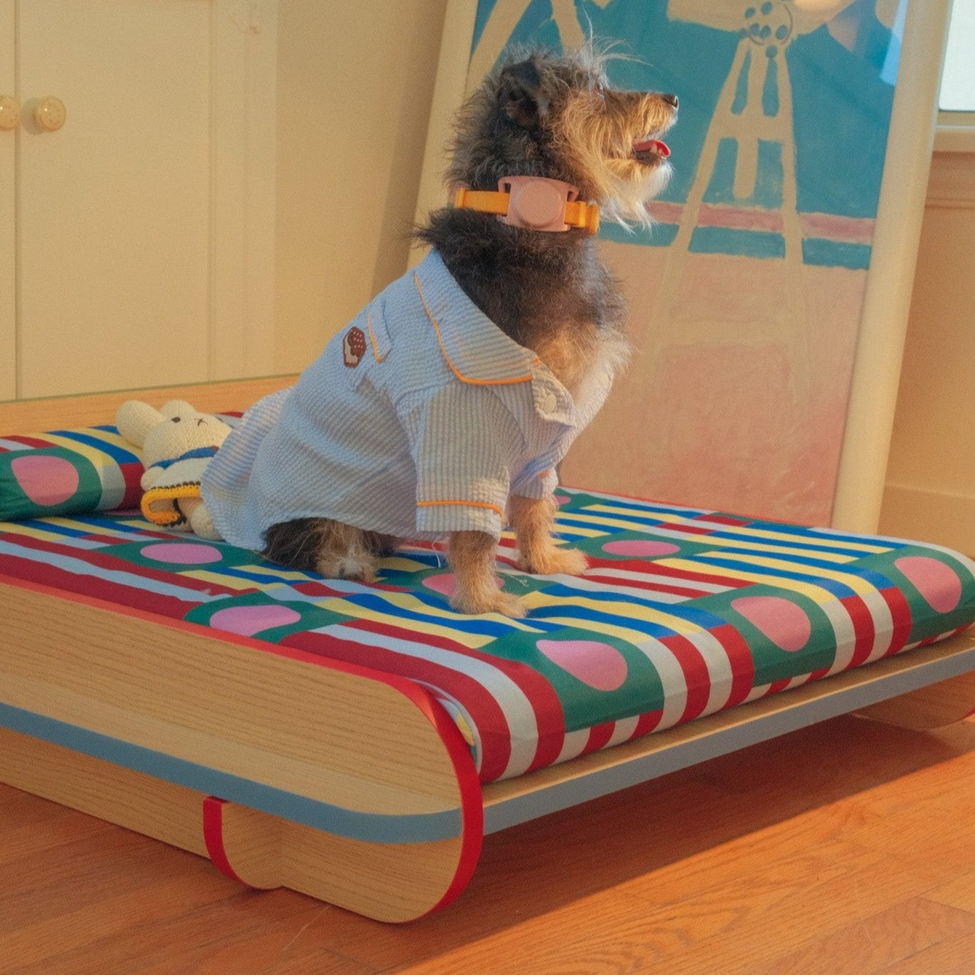 The Leo Bed – Modern Elevated Dog & Cat Bed - NomoHaus