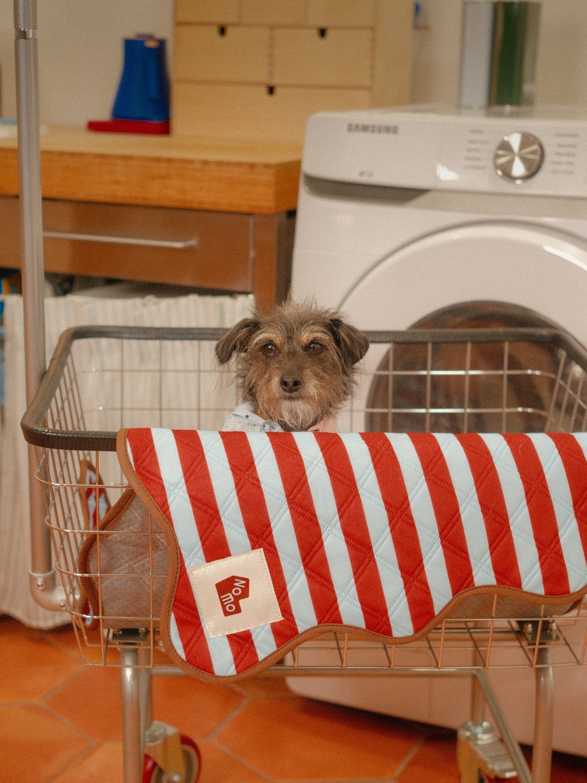 How to Wash Reusable Dog Pee Pads So They Last Longer - NomoHaus
