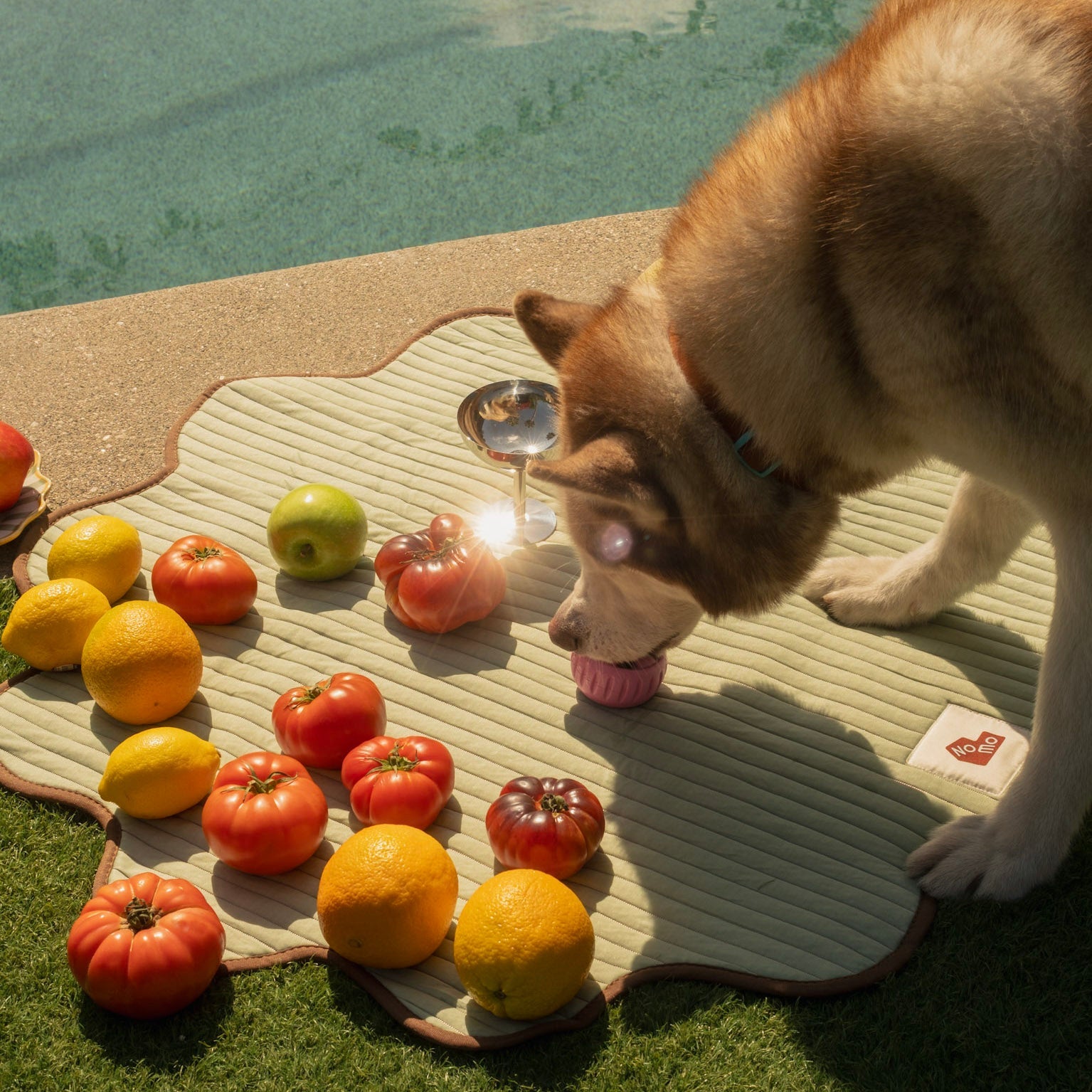 The Charlie Cooling Mat - NomoHaus