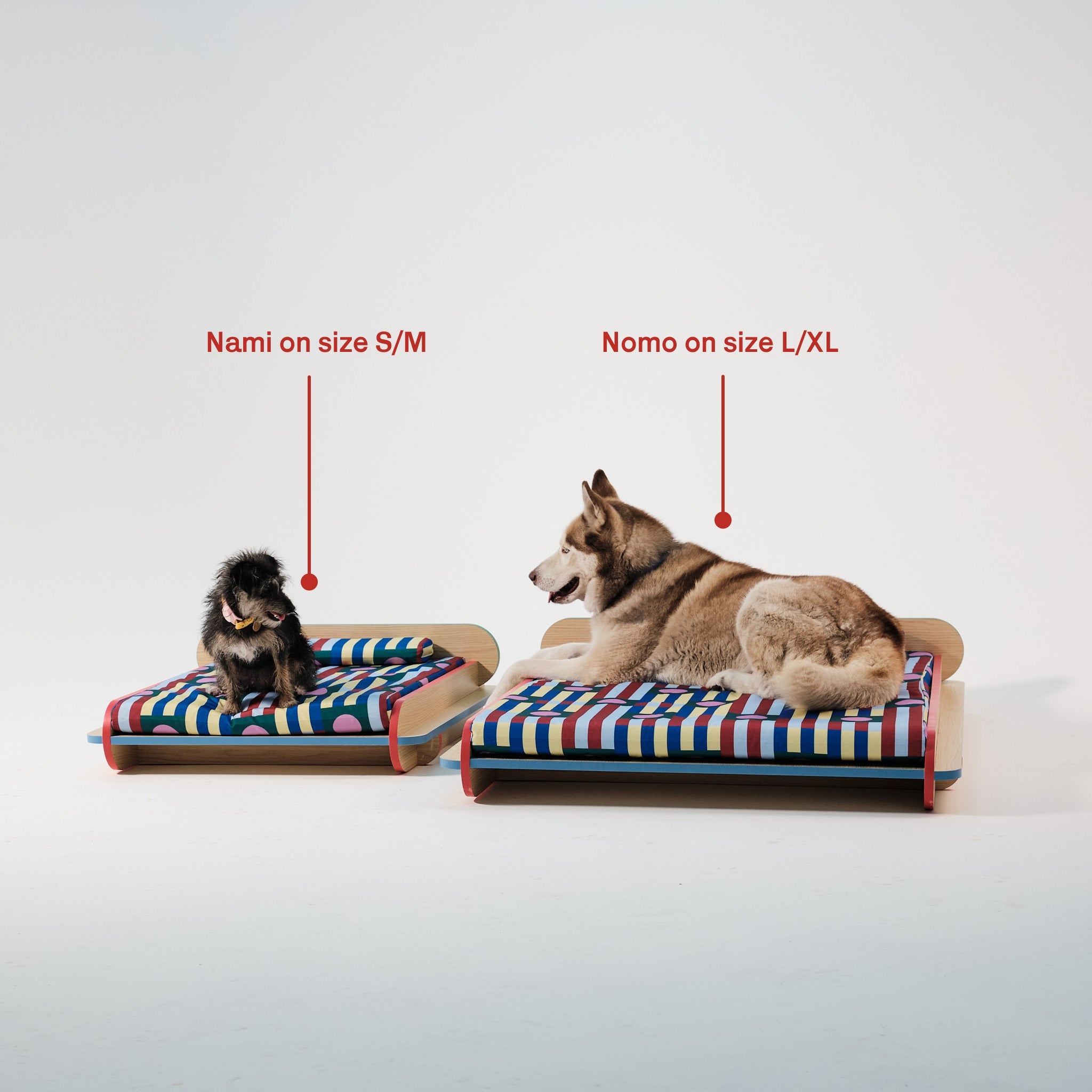 The Leo Bed – Modern Elevated Dog & Cat Bed - NomoHaus