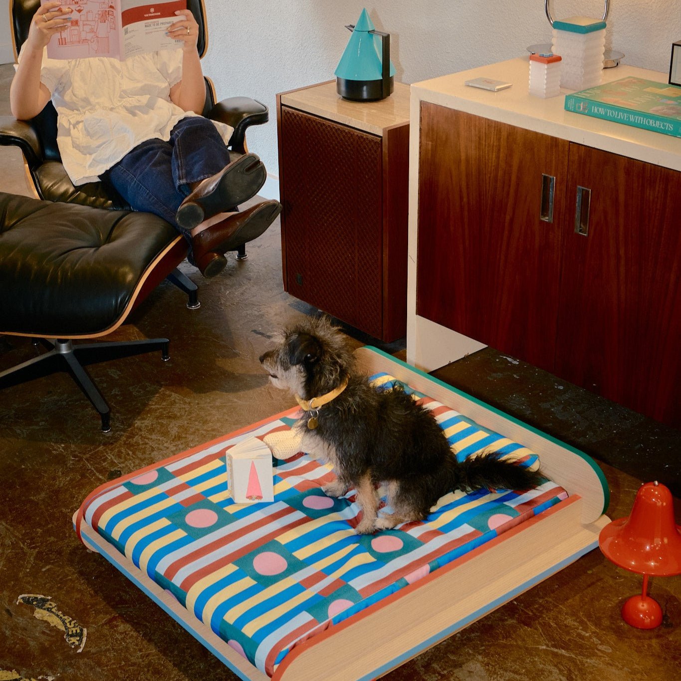 The Leo Bed – Modern Elevated Dog & Cat Bed - NomoHaus