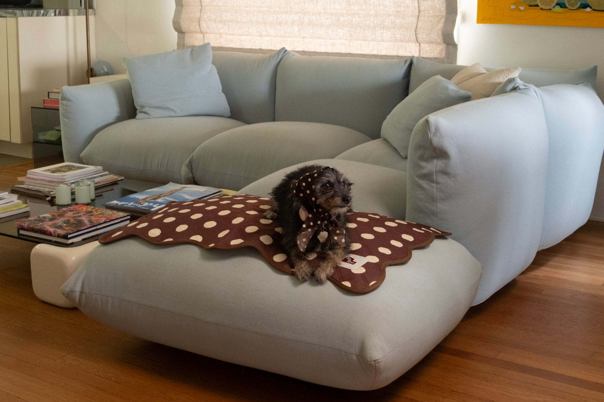 The Ellie Pad as a couch and furniture cover
